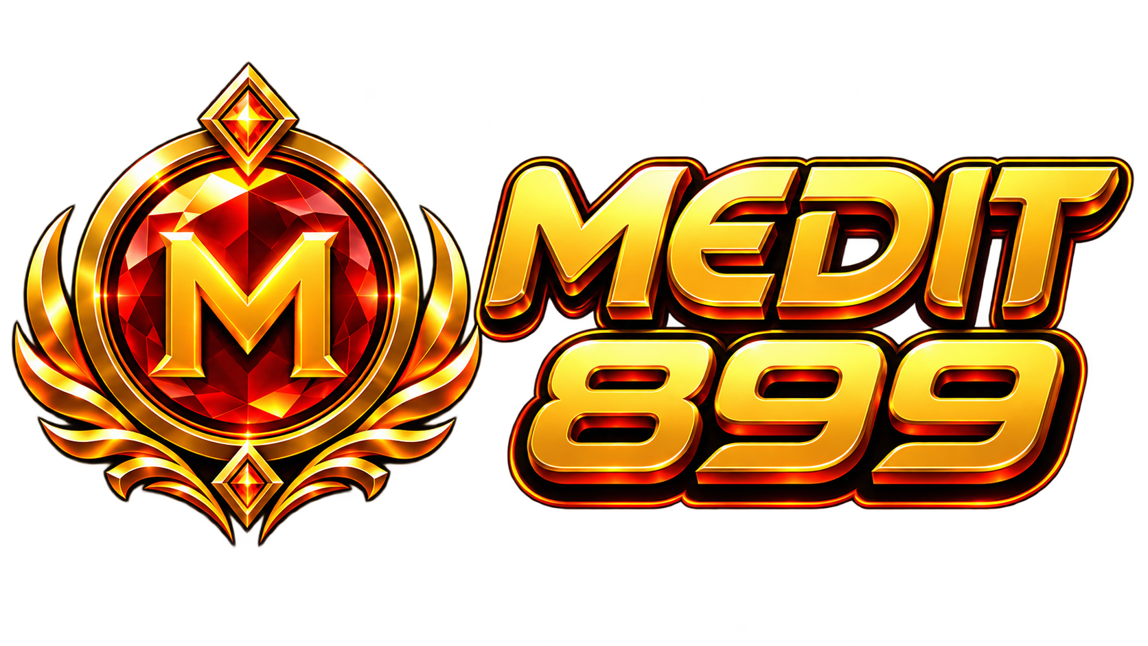 Logo MEDIT899